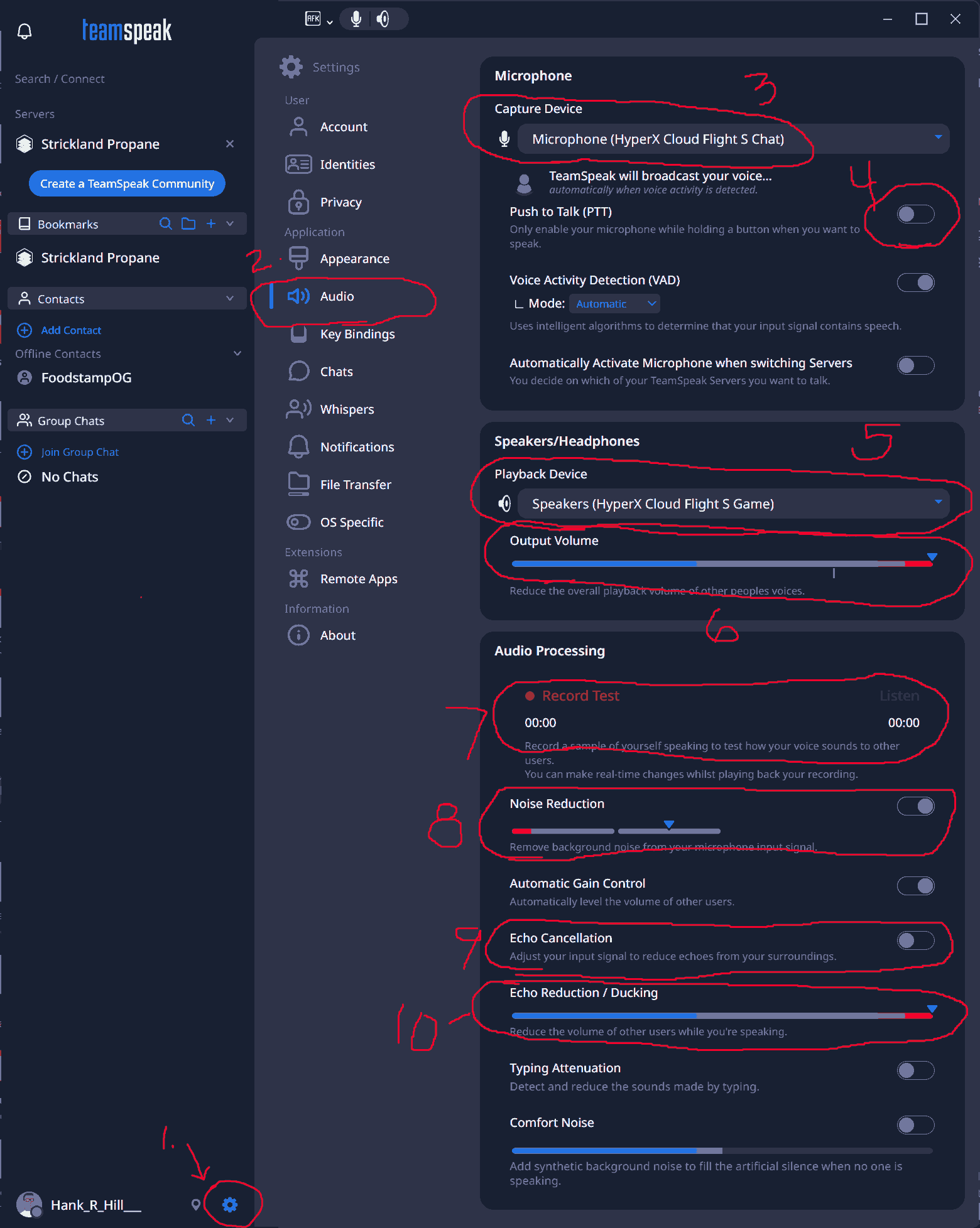 TeamSpeak audio settings screenshot showing capture device, playback device, noise reduction and echo cancellation options
